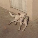 태흥장여관 이미지