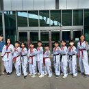 국가대표청룡태권도장 이미지