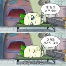 [W.04] 스드메 고르기 (클레브스튜디오/브라이드손윤희/강은)