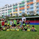 아이나무태권도 이미지