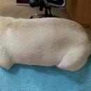 삼무공원 이미지