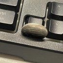 토마토슬롯PC 이미지