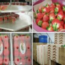 가빈농장 이미지