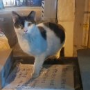 수윤농장 | 부동산스터디카페 추천게시글 (2019.3.4)