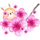 신바람포차 이미지