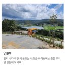 파인(Pine) | 🌿 자연 속 힐링 캠핑, 가족캠핑장 🏕️추천｜캠프그라운드 화온 총정리(2박3일 PINE존후기)파인존20,21