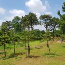 장미정원 이미지