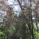 월촌마을회관 이미지