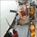 멍텅구리 이미지