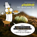 복 농장 이미지