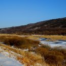 한탄강 영하 25도 !! 얼어죽어도 좋타~ 흑두루미 & 고라니 찍어서. ㅋ~~ 2018년 1월 24일 오후 한탄강 이미지