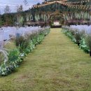 디바인밸리 이미지