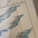 키즈웰소아청소년과병원 | 키즈웰소아청소년과 영유아검진 후기 48개월 6차검진