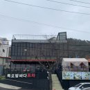 해양대학로 | 목포 오션뷰 맛집 목포밤바다 | 해물파전 ,닭볶음탕, 주먹밥 솔직후기