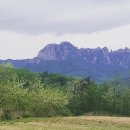 하이디펜션 이미지