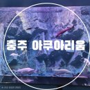 흥진환경(주) | 충주 아이와 가볼만한곳 충주 실내 여행지 충주 아쿠아리움