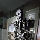 국가대표 태권메이커 이미지