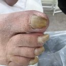 레푸스앤두두뷰티 이미지