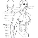 수양명대장경 이미지