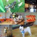 개들의왕국 이미지