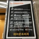 로이드밤 아주대점 | 로이드밤 아주대점, 톤다운 염색(애쉬매트브라운) 후기