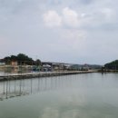 옥녀봉 낚시터 이미지