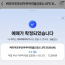 부엉마을 | 씨라이프 아쿠아리움X동물의숲 콜라보 주말 방문 후기🌊 | 동물의숲 굿즈샵 신상 패치 인형, 아미보카드...