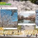 뉴욕파크 호스텔 이미지
