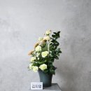 란스플로리스트꽃꽂이학원 이미지