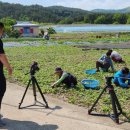 자란만마을 이미지