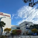 노아마트 | 이천 아울렛, ABC마트 나들이 누오보 노아 리본 뮬 내돈내산 구매후기+사이즈팁