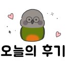 새봄약국 | 앵무새 엑스레이 촬영 비용 얼마일까? (영수증 첨부)