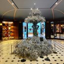 쩡아트살롱드펫 | 겨울 호캉스) 레스케이프 호텔, L’Escape Hotel Atelier Suite Winter Edition