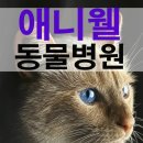 애니웰 동물병원 이미지