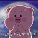 복정형외과의원 | 2025년 연말정산: 기억에 남는 17가지 에피소드