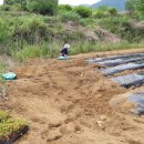 대근농장 이미지