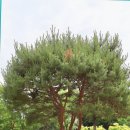 강원도립화목원 이미지