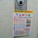 스타키즈 수영장 이미지