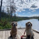 다니엘농장 이미지