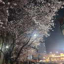 예산 나들이 이미지