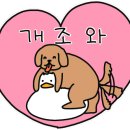 삼성중공업거제호텔사우나 이미지