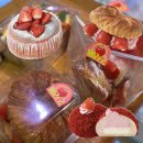 파리바게뜨판암5단지 | 파리바게트 베리밤 메뉴 베리밤 도넛 크루이글 맛 후기