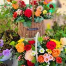 합덕연지마을 이미지