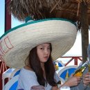 하니바니 Daum카페