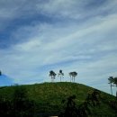 11구간 신사임당길/시루봉/드디어 정상영업합니다. 이미지