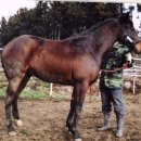 통산2목장 이미지