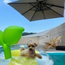 경주 스테이 스텐빌 이미지