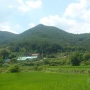 은행1리 이미지