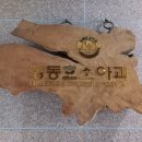 정동호소아과의원 이미지