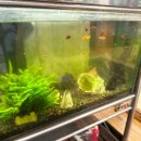 쌍둥이숯불갈비 이미지